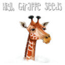 High Giraffe Seeds