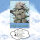 High Giraffe Seeds High Amnesia Feminisiert Samen
