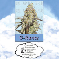 High Giraffe Seeds G-Runtz 3 Feminisiert