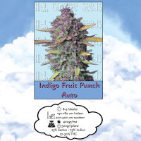 High Giraffe Seeds Indigo Fruit Punch Auto 5 Samen