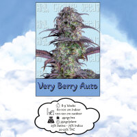 High Giraffe Seeds Very Berry Auto