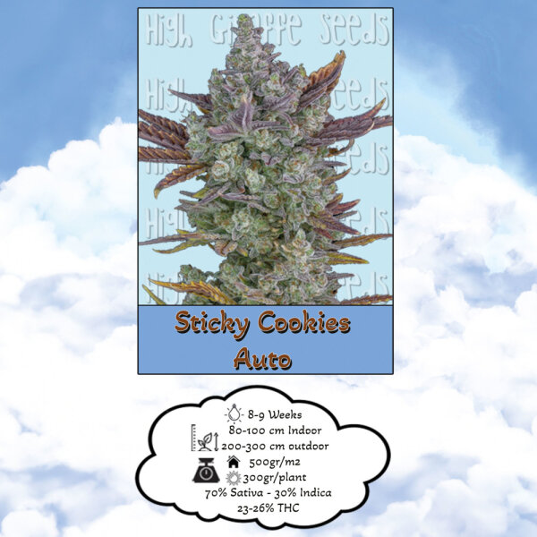 High Giraffe Seeds Sticky Cookies Auto