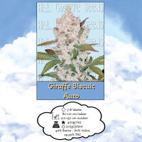 High Giraffe Seeds Giraffe Biscuit Auto 5 Samen