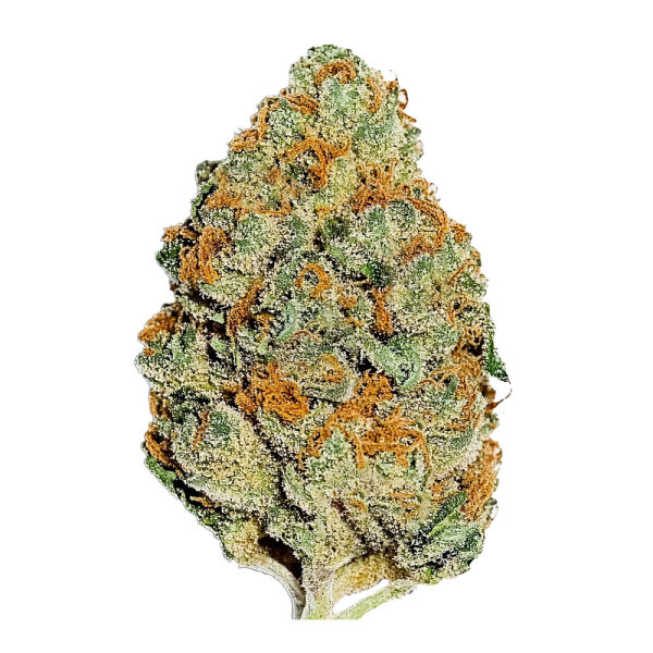 FastBuds Lemon Mandarin Feminisiert