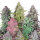 FastBuds Mix Pack Auto
