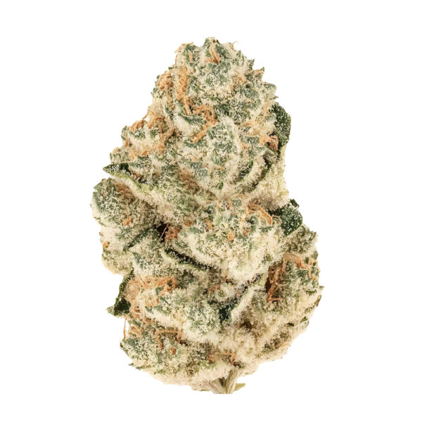 FastBuds Gorilla Melon Feminisiert